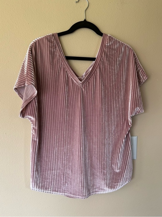 She + Sky Tops - 📦LAST CHANCE DONATING📦 She + Sky | Mauve Velvet Short Sleeve Top